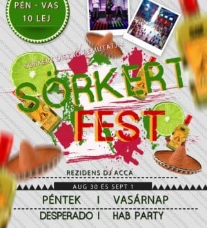 Sorkert Disco - Sorkert Fest