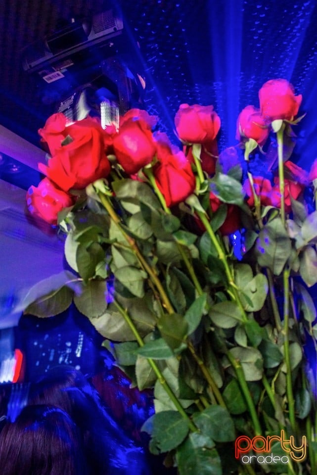 8th Of March Surprize, 