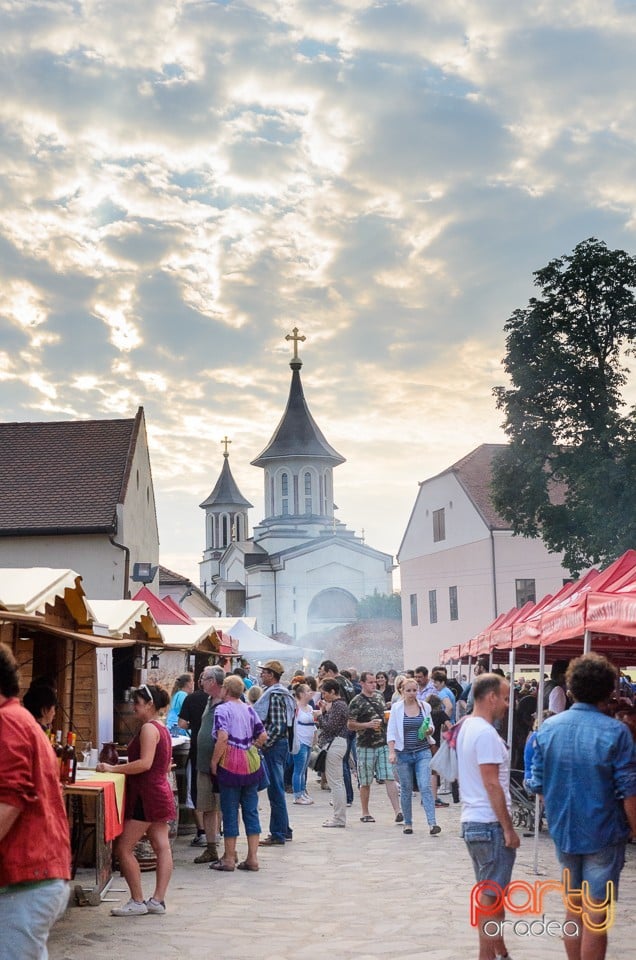 Ambianţă la Zilele Sfântul Ladislau, Oradea