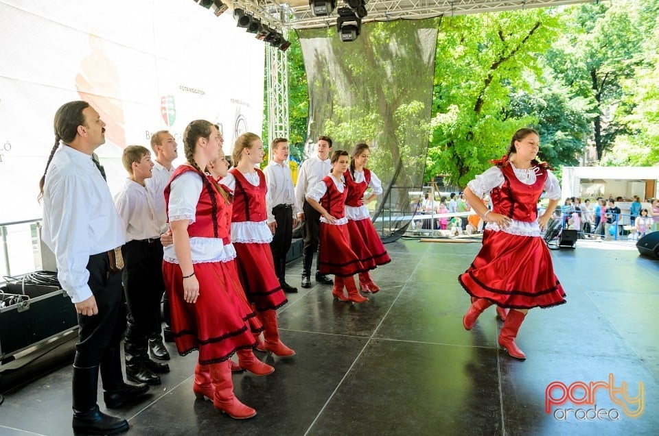 Ambianţă Zilele Sf. Ladislău, Oradea