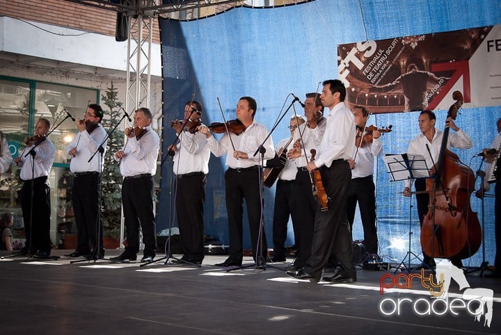 Ansamblul Crişana – Spectacol Folcloric,