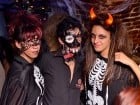Bacardi Halloween Party