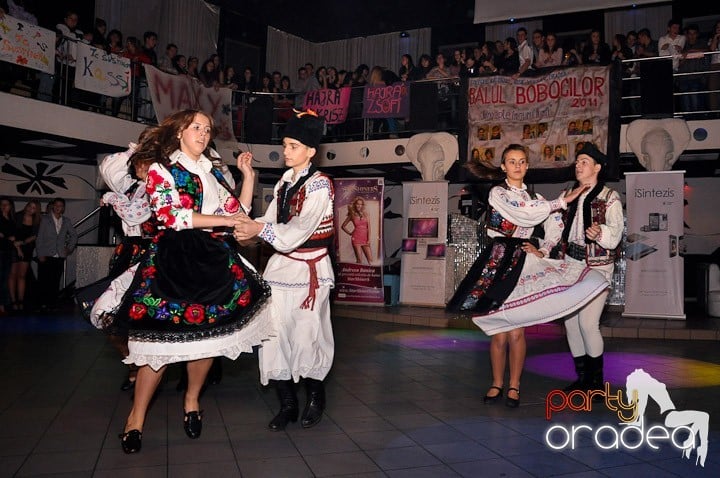 Balul Bobocilor - CN Iosif Vulcan,