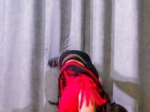 Balul Bobocilor - O. Ghibu