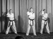 Balul Bobocilor - O. Ghibu