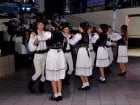 Balul Bobocilor Sinteza