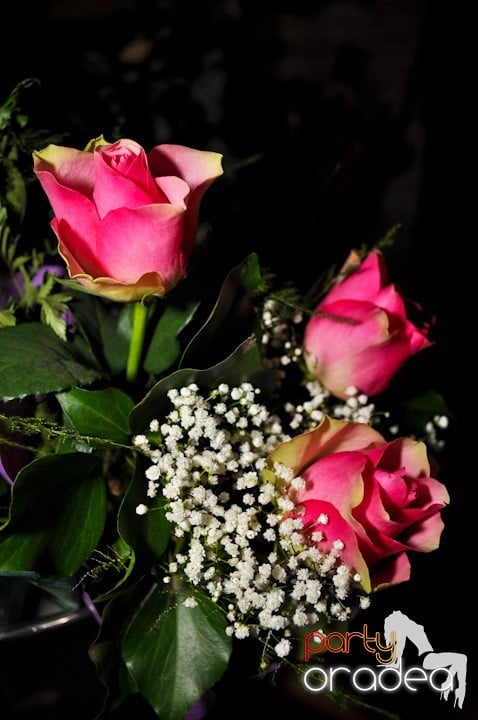 Birthday Party în Lounge, The Lounge