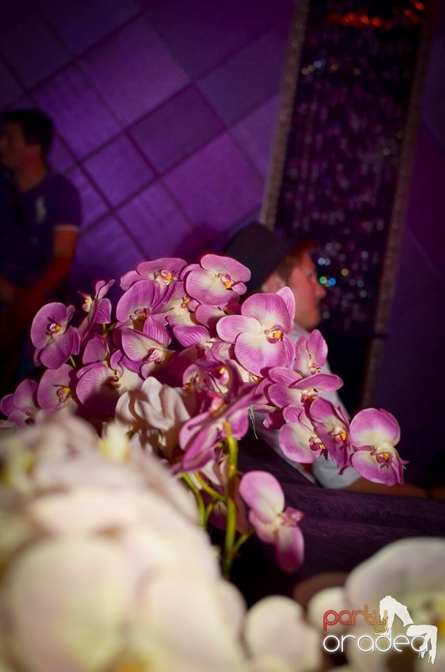 Born to Be Wild @ The One, 