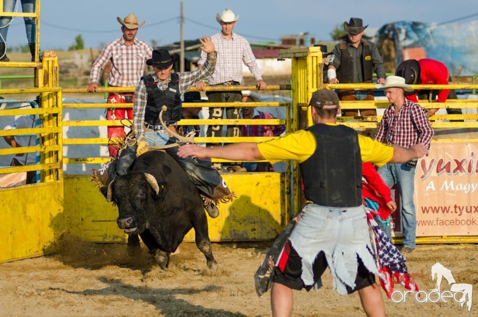 Campionat European de Rodeo, Băile Felix