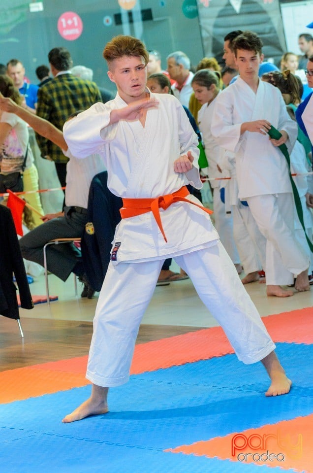 Campionat Internaţional de Karate,