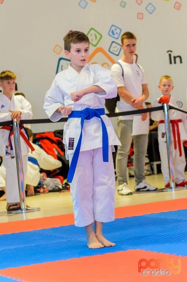 Campionat Internaţional de Karate,