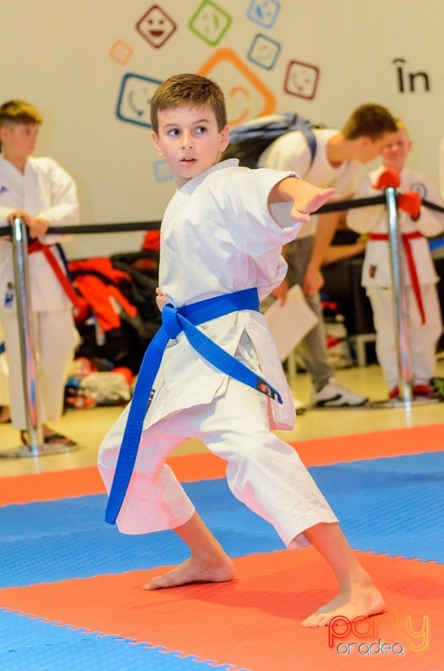 Campionat Internaţional de Karate,
