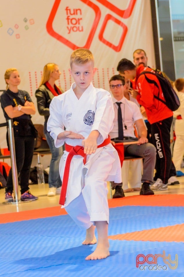 Campionat Internaţional de Karate,