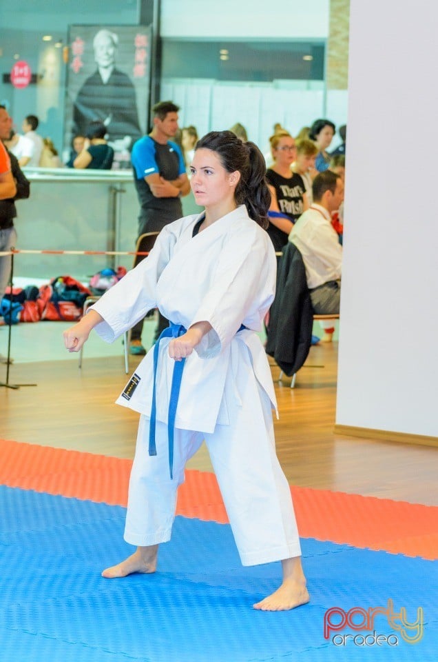 Campionat Internaţional de Karate,