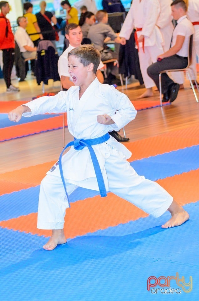 Campionat Internaţional de Karate,