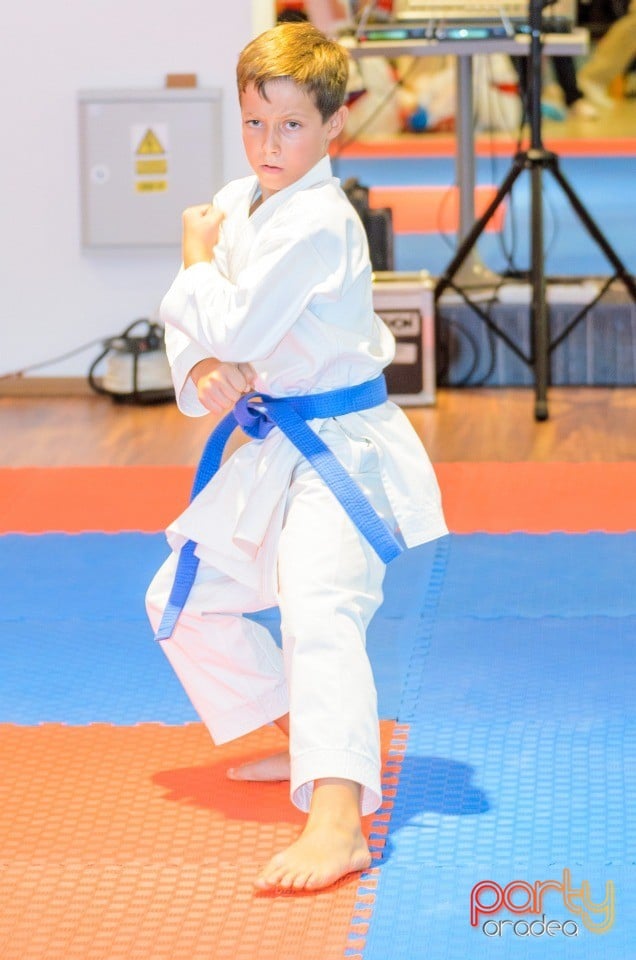 Campionat Internaţional de Karate,