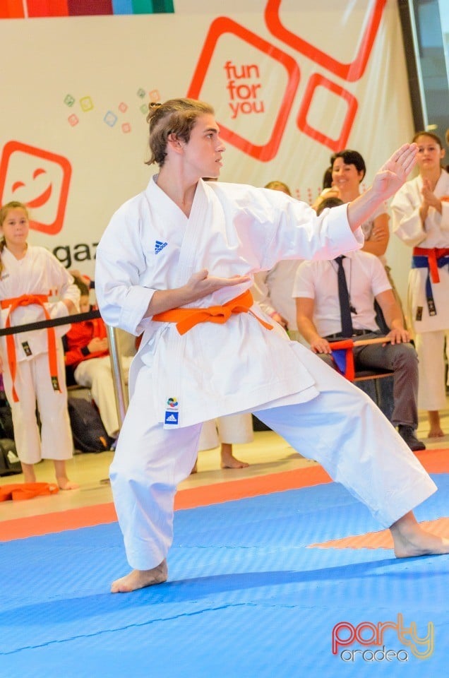 Campionat Internaţional de Karate,