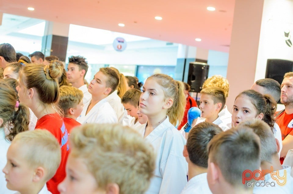 Campionat Internaţional de Karate,