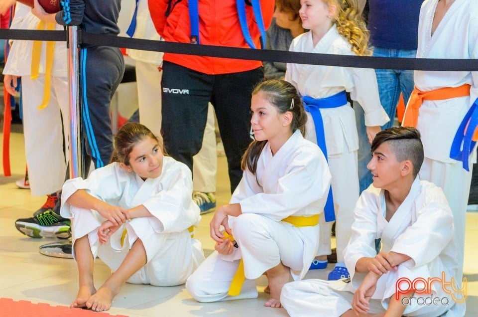 Campionat Internaţional de Karate,