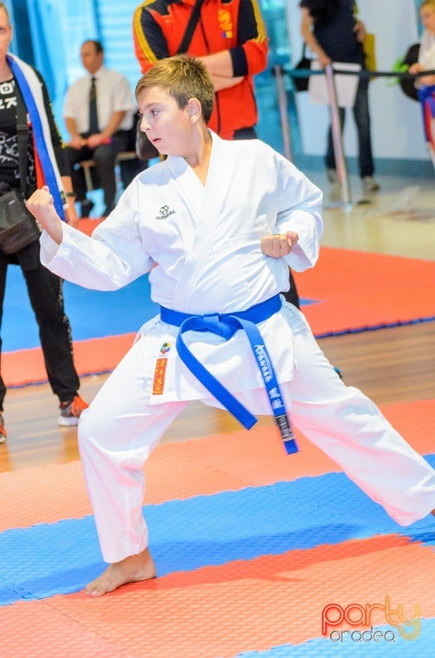 Campionat Internaţional de Karate,