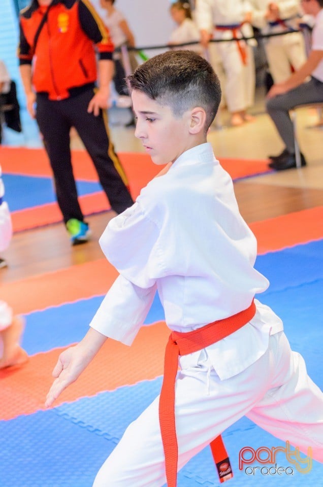 Campionat Internaţional de Karate,
