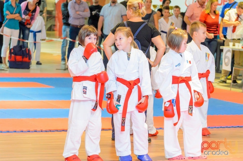 Campionat Internaţional de Karate,