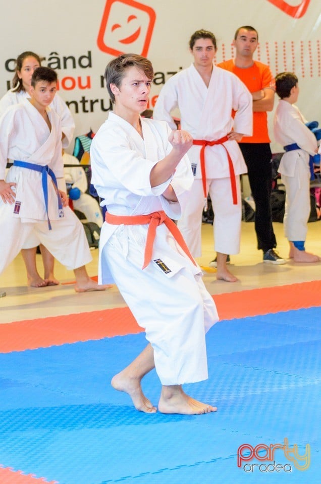 Campionat Internaţional de Karate,