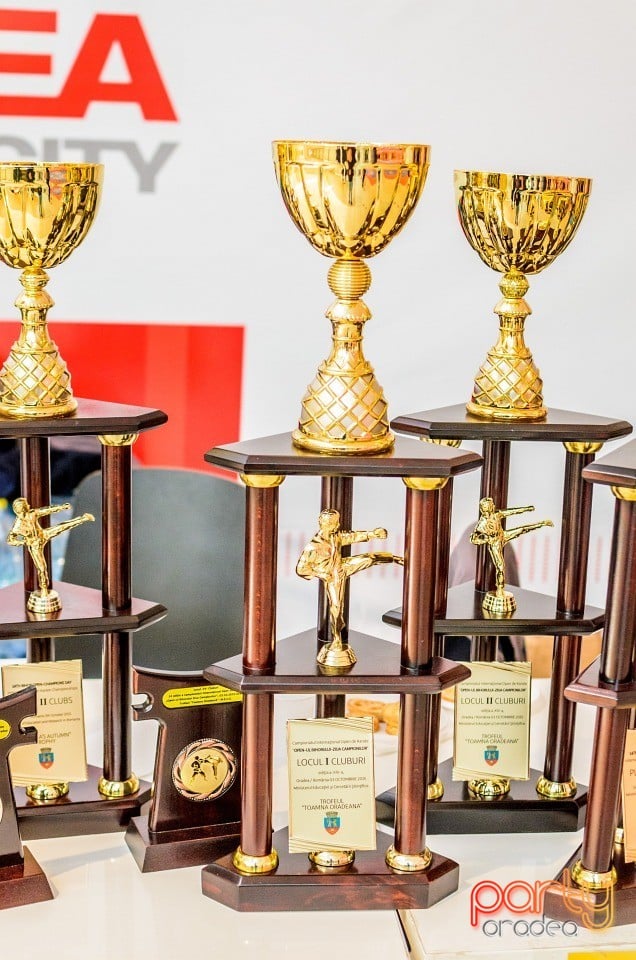 Campionat Internaţional de Karate,