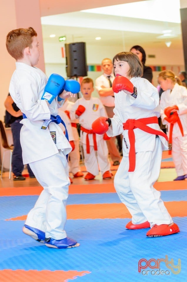 Campionat Internaţional de Karate,