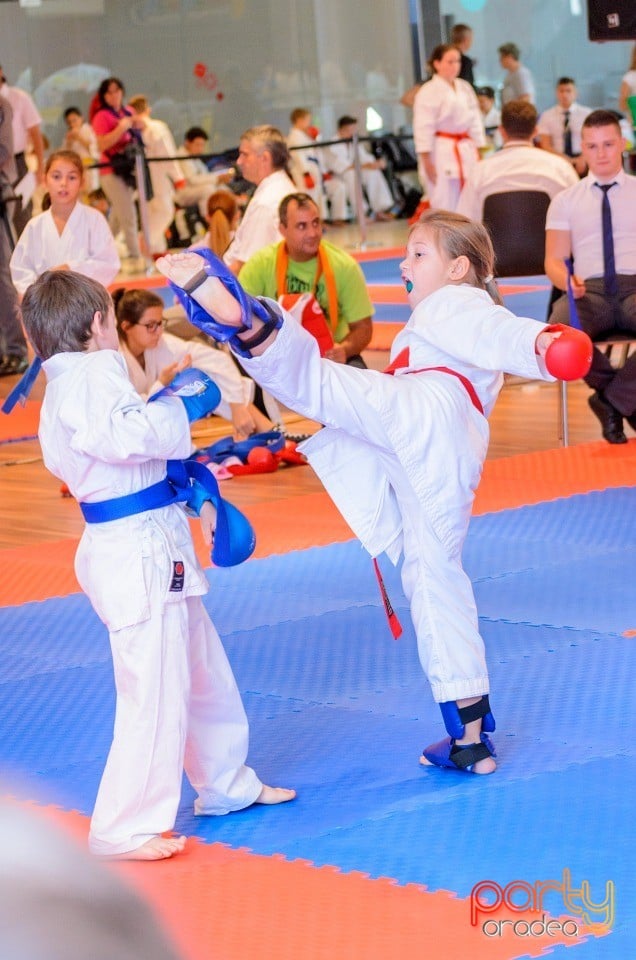 Campionat Internaţional de Karate,