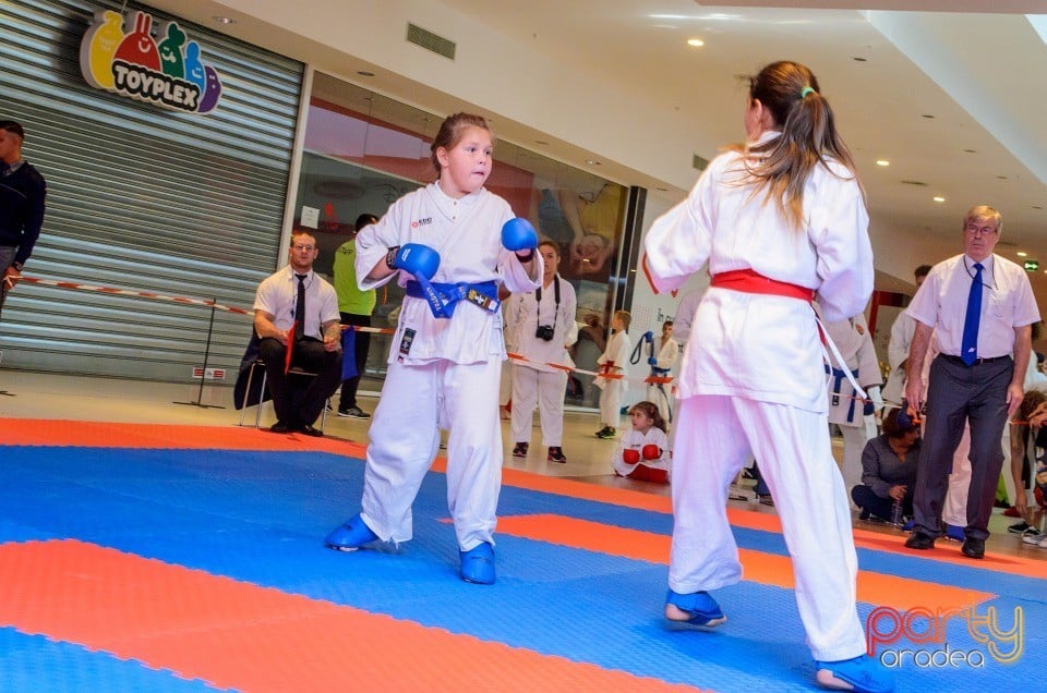 Campionat Internaţional de Karate,