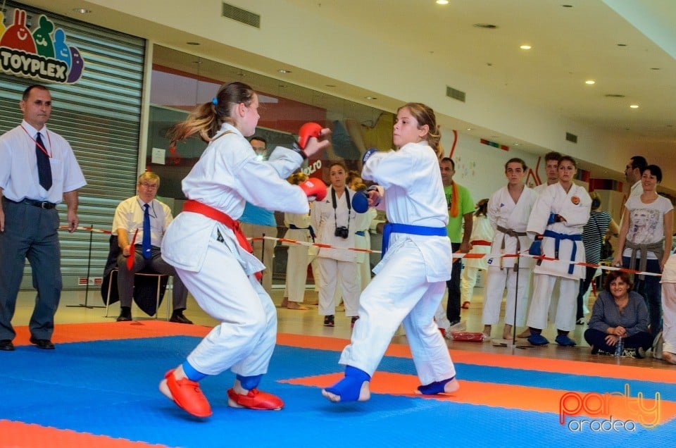 Campionat Internaţional de Karate,