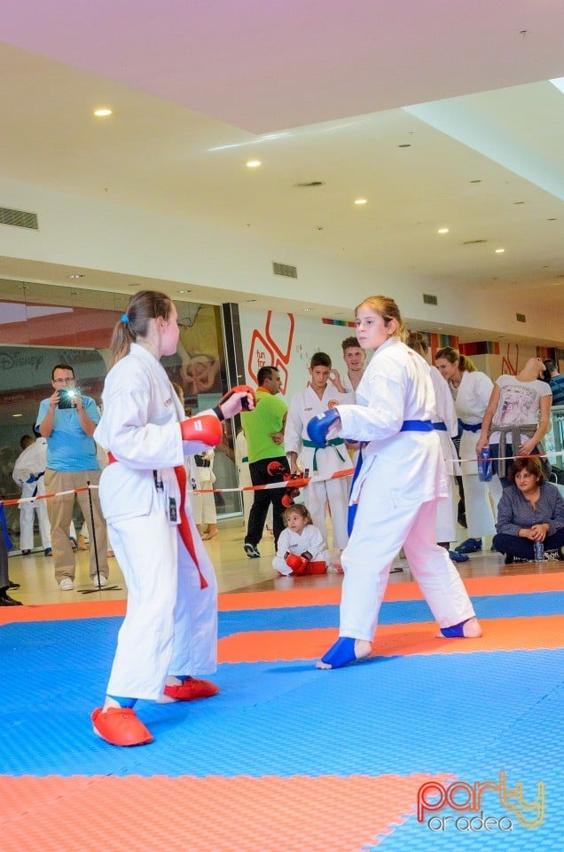 Campionat Internaţional de Karate,