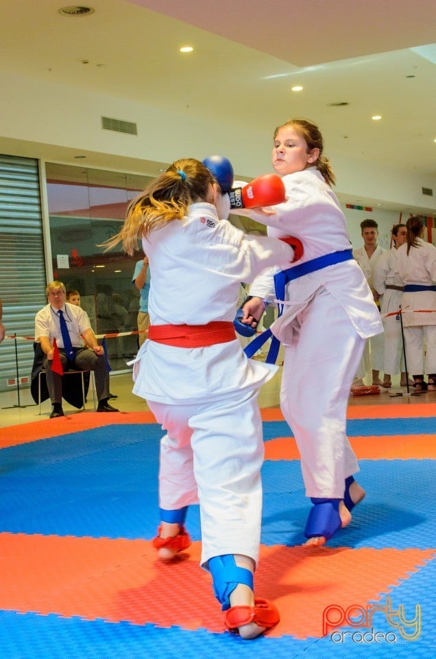 Campionat Internaţional de Karate,