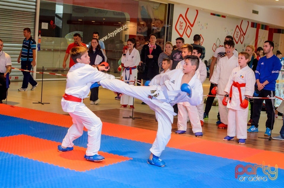 Campionat Internaţional de Karate,