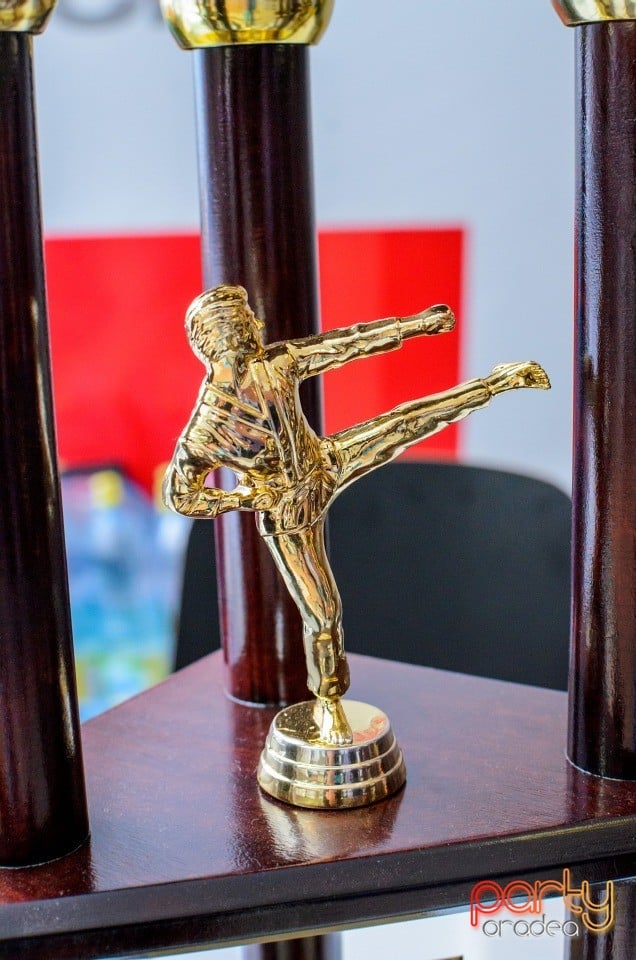 Campionat Internaţional de Karate,