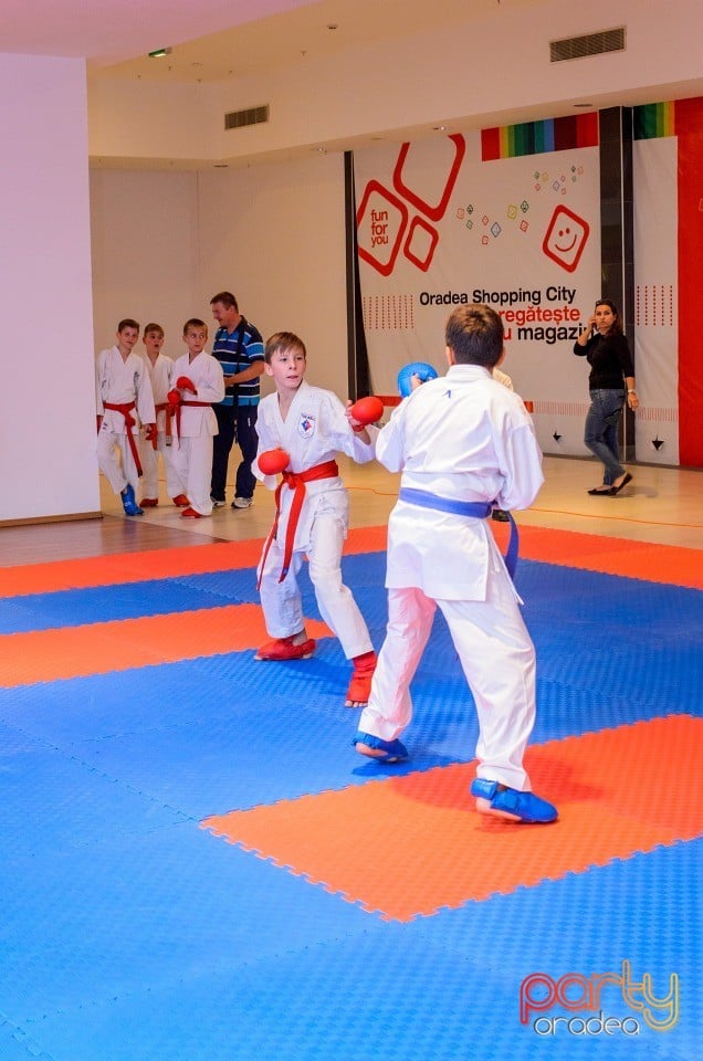 Campionat Internaţional de Karate,