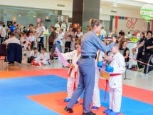 Campionat Internaţional de Karate