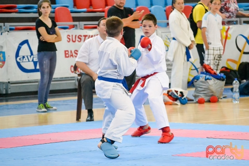 Campionat Naţional de Karate, Arena Antonio Alexe