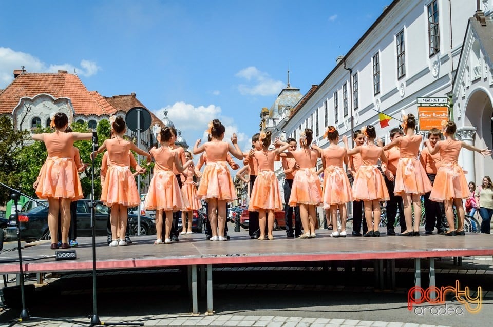 Carnaval european pe străzile Oradiei, Oradea