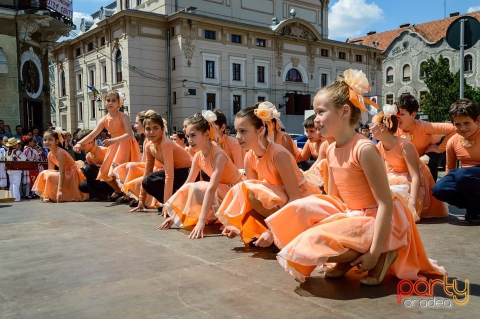 Carnaval european pe străzile Oradiei, Oradea