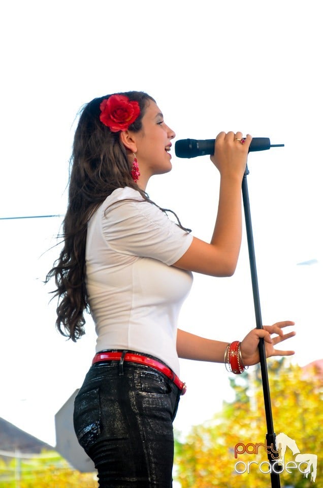 Carnavalul Florilor 2012, 