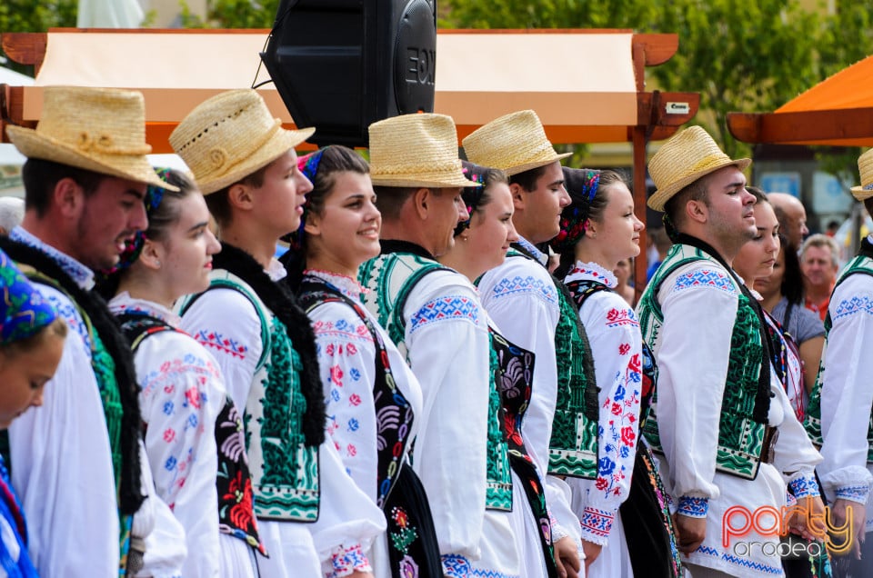 Carnavalul Florilor 2017, Oradea