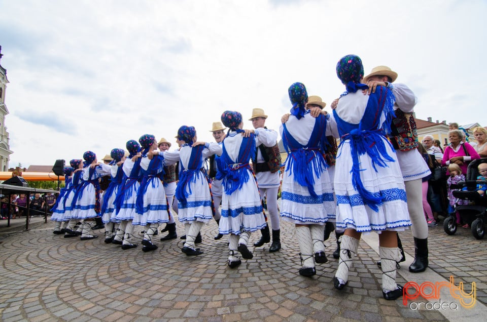 Carnavalul Florilor 2017, Oradea