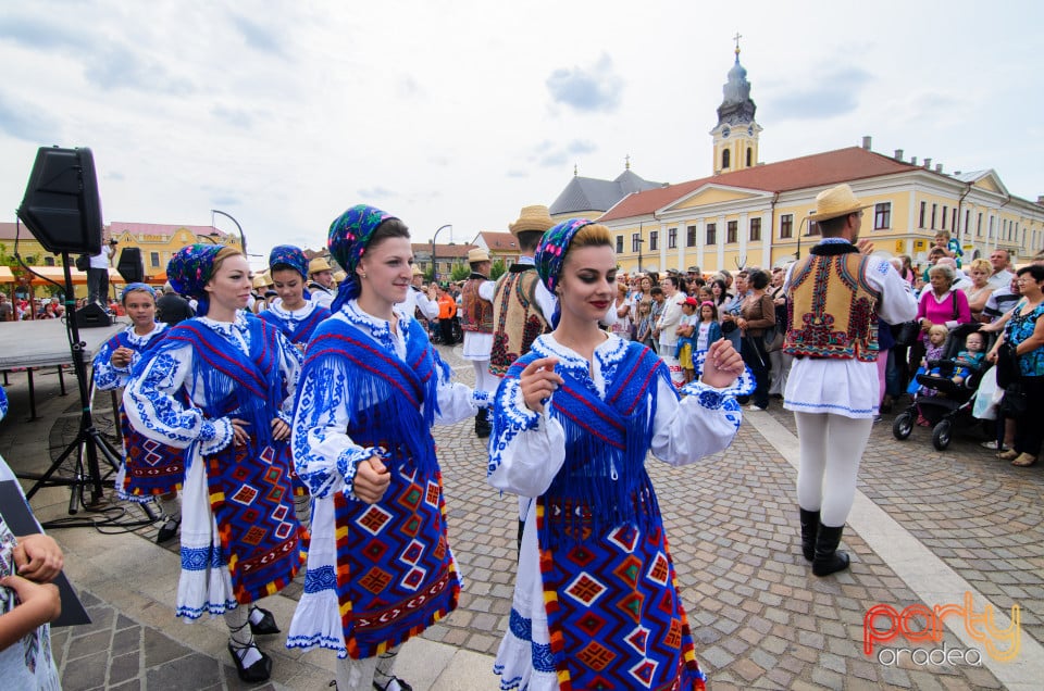 Carnavalul Florilor 2017, Oradea