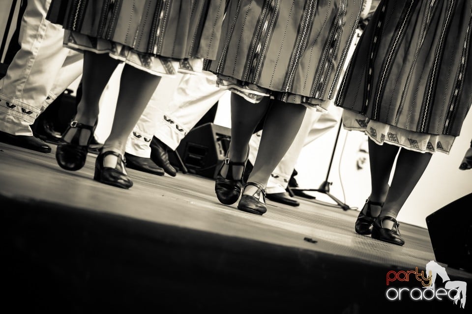 Concert Aniversar Maria Tanase, Oradea