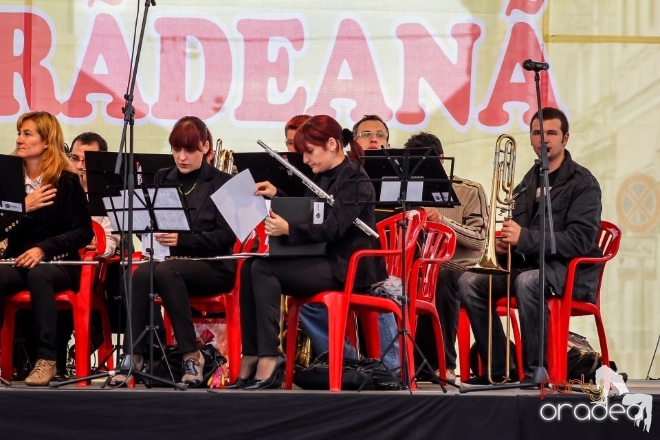 Concert de muzica de fanfara, Oradea