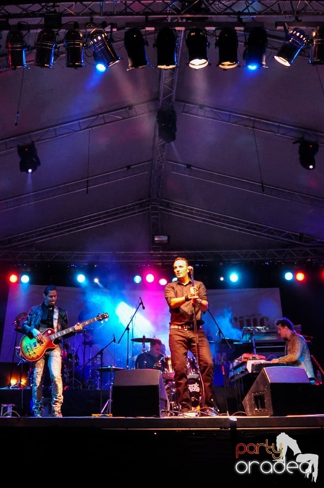 Concert Direcţia 5, 