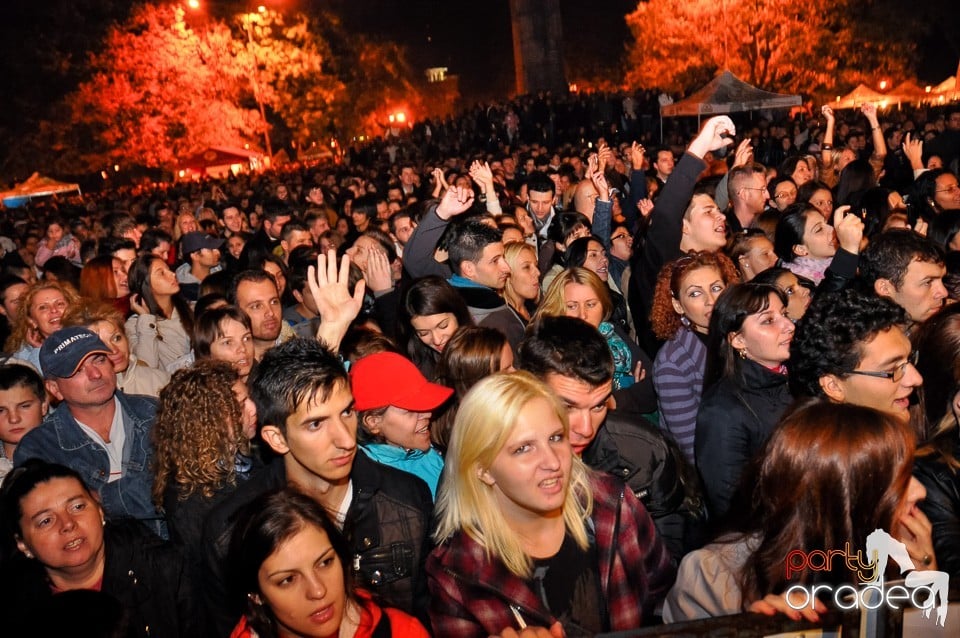 Concert Direcţia 5, 