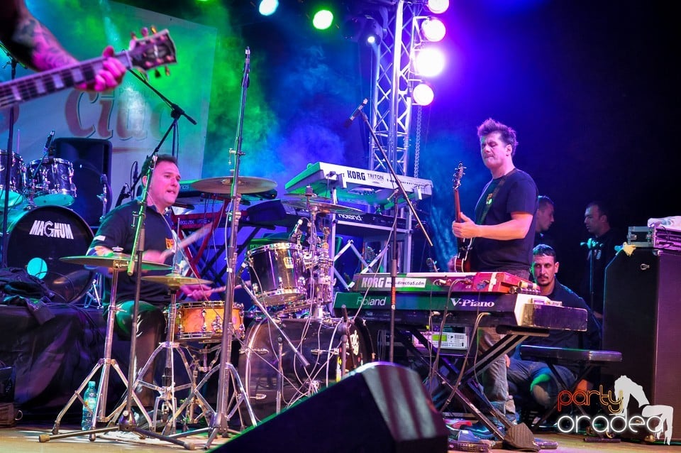 Concert Direcţia 5,